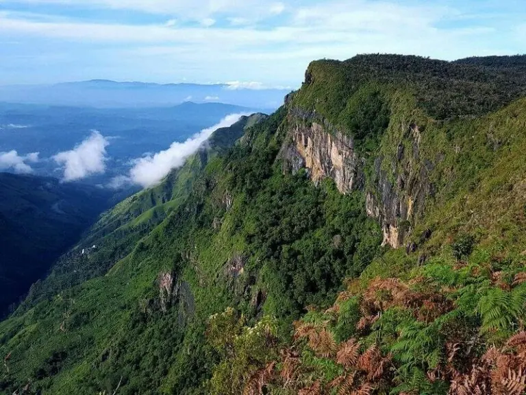 Horton Plains National Park