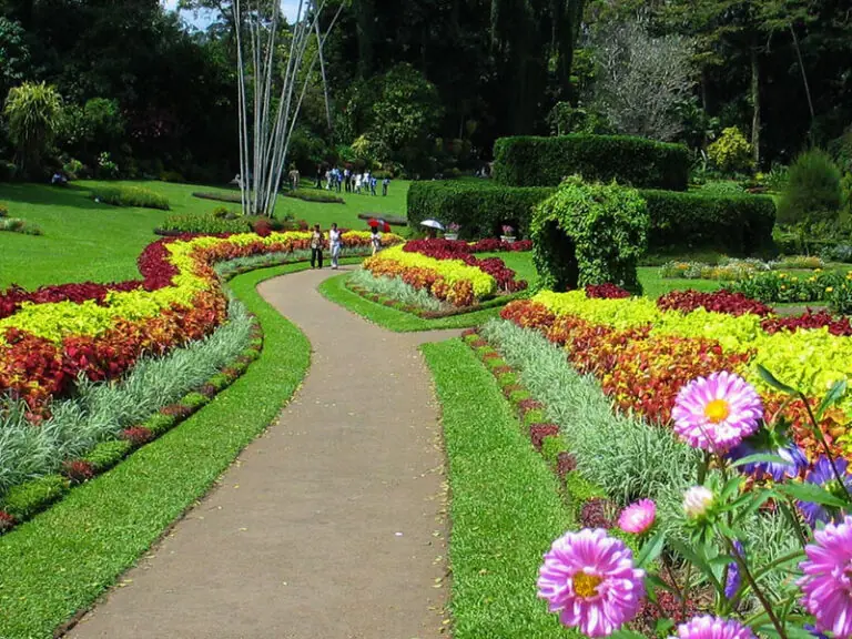 Royal Botanical Gardens, Peradeniya